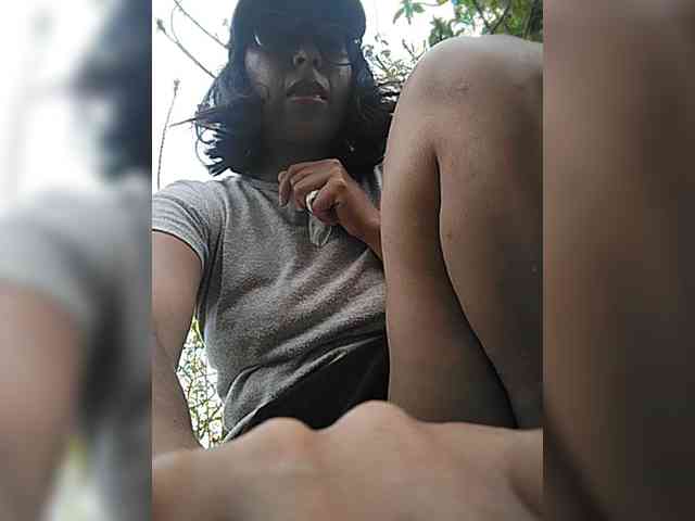 WildAurora webcam