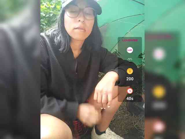 WildAurora webcam
