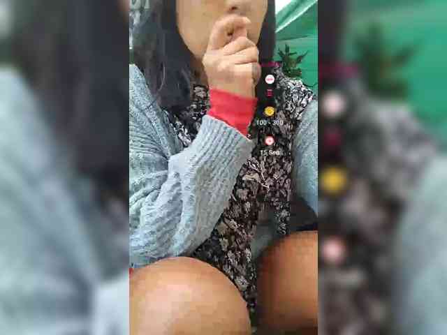 WildAurora webcam