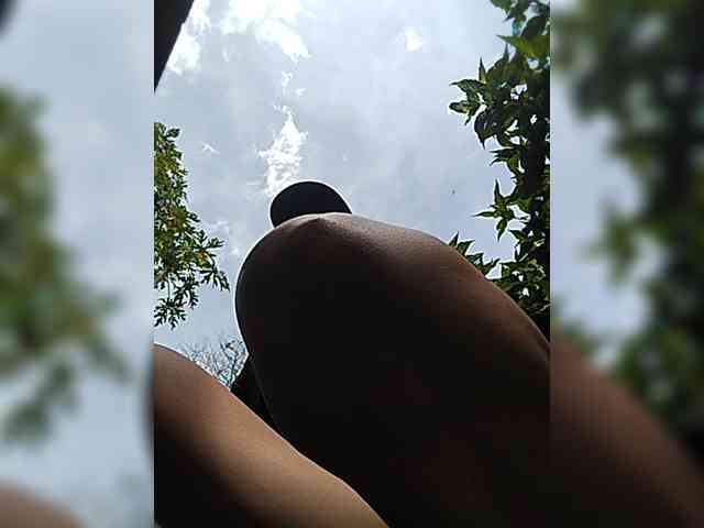 WildAurora webcam