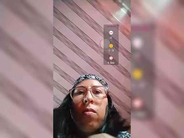 WildAurora webcam