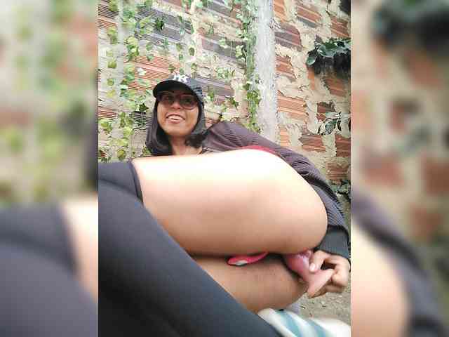 WildAurora webcam