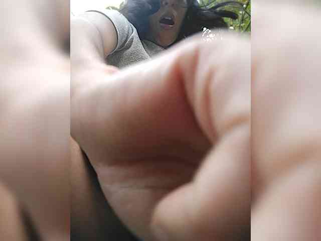 WildAurora WildAurora