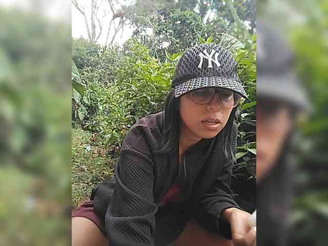 WildAurora webcam