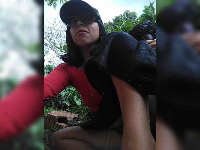 WildAurora webcam