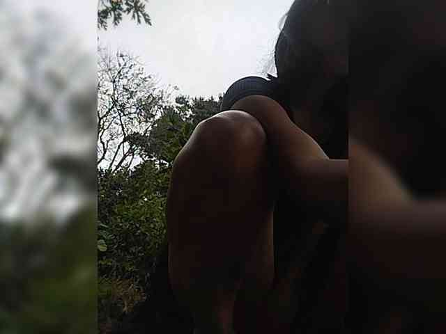 WildAurora webcam