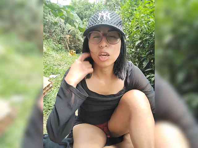WildAurora webcam
