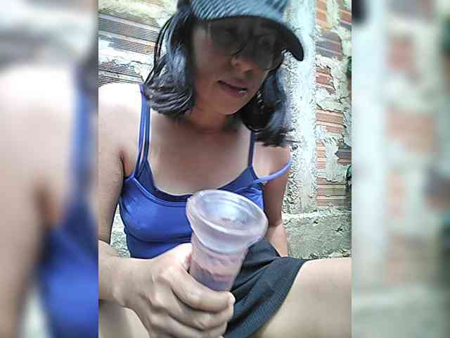 WildAurora webcam