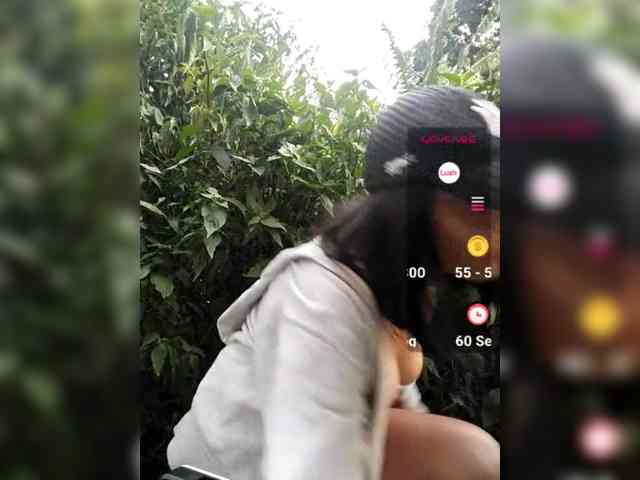 Wildaurora's live stream