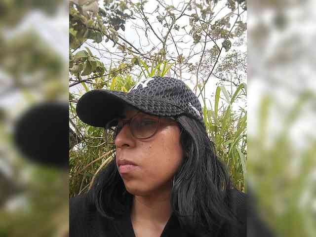 WildAurora webcam