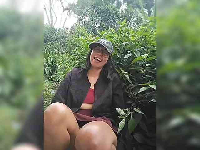 WildAurora webcam