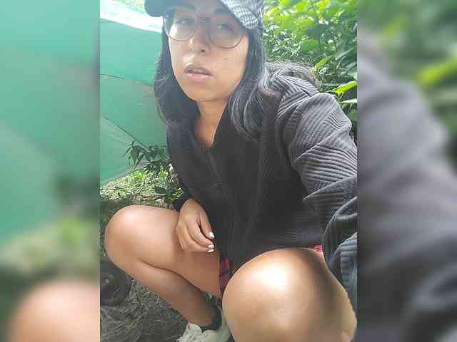 WildAurora webcam