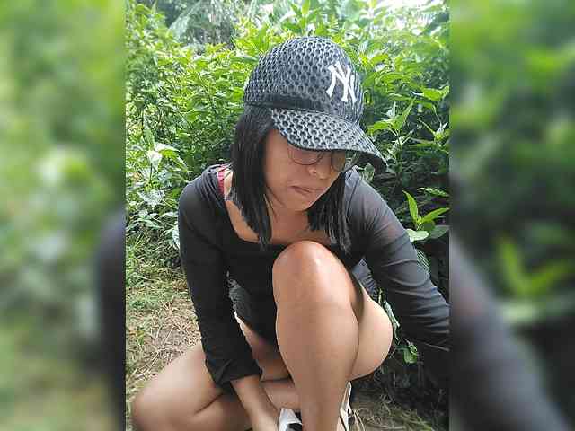 WildAurora webcam