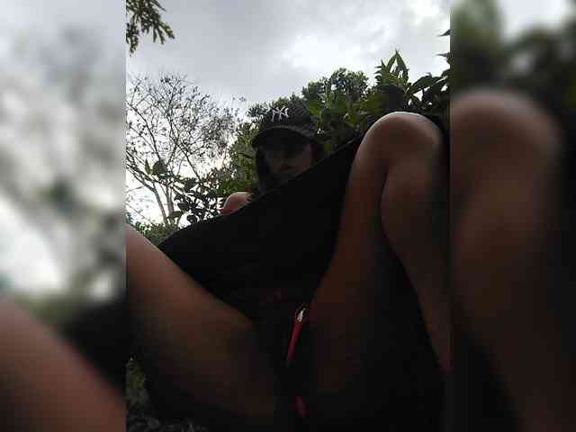 WildAurora webcam