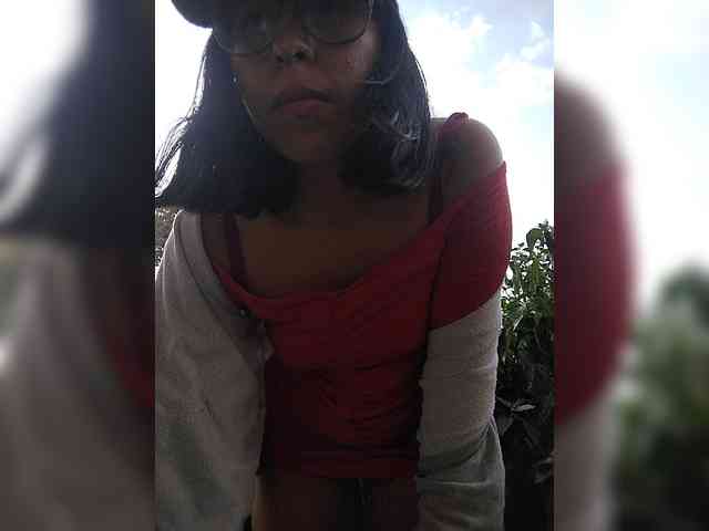 WildAurora webcam