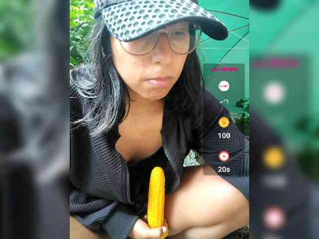 WildAurora webcam