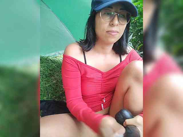 WildAurora webcam