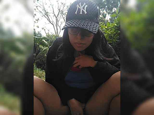 WildAurora webcam