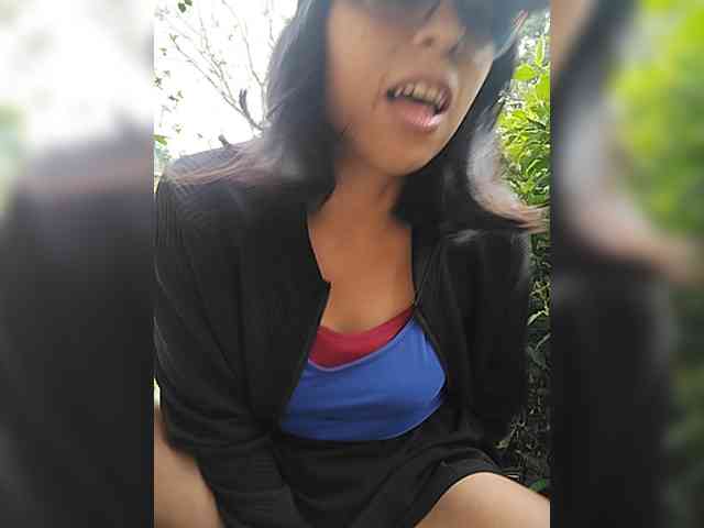 WildAurora webcam