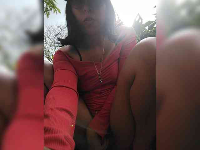 WildAurora webcam