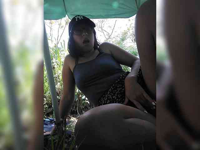 WildAurora