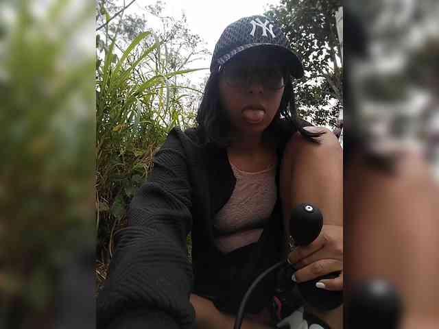 WildAurora webcam