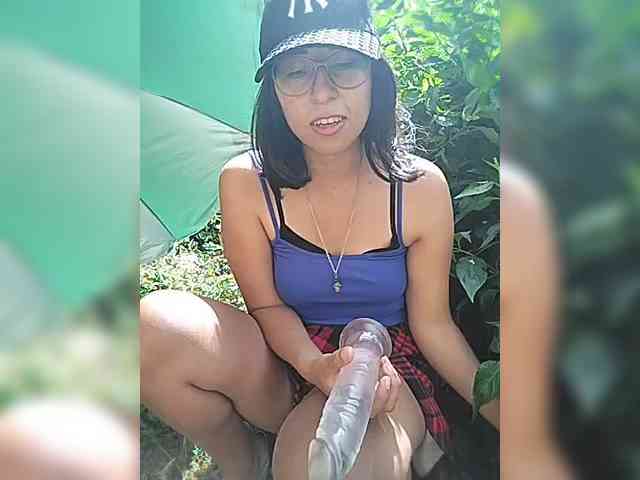 WildAurora webcam
