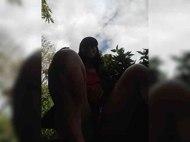 WildAurora webcam