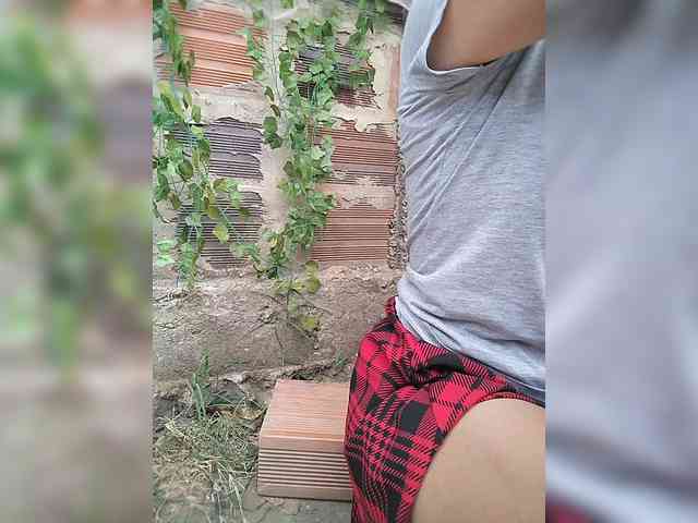 WildAurora webcam