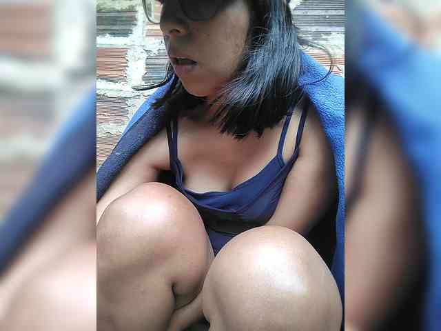 WildAurora webcam