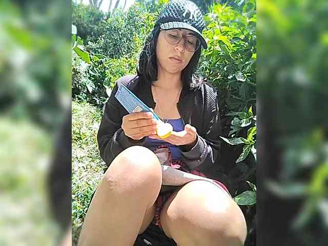 WildAurora webcam