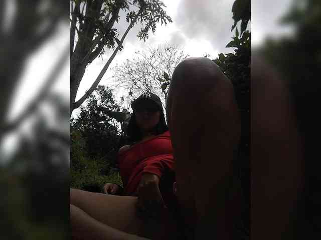 WildAurora webcam