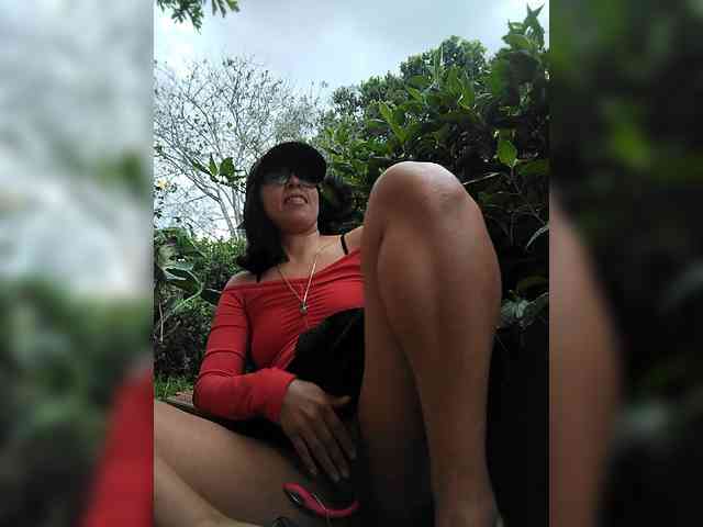 WildAurora webcam