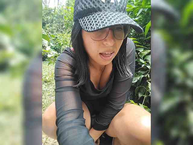 WildAurora webcam