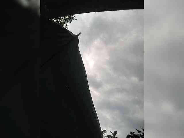 WildAurora webcam