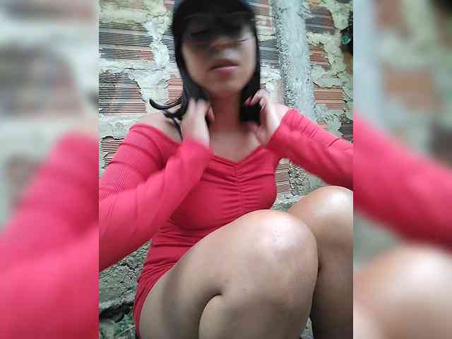 WildAurora webcam
