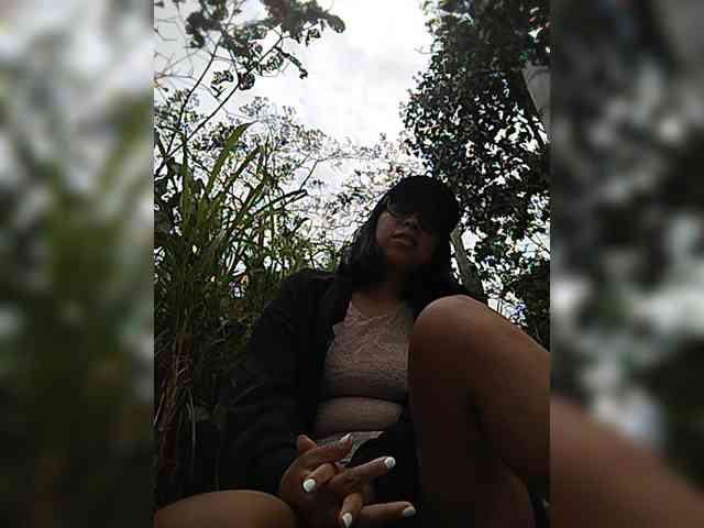 WildAurora webcam