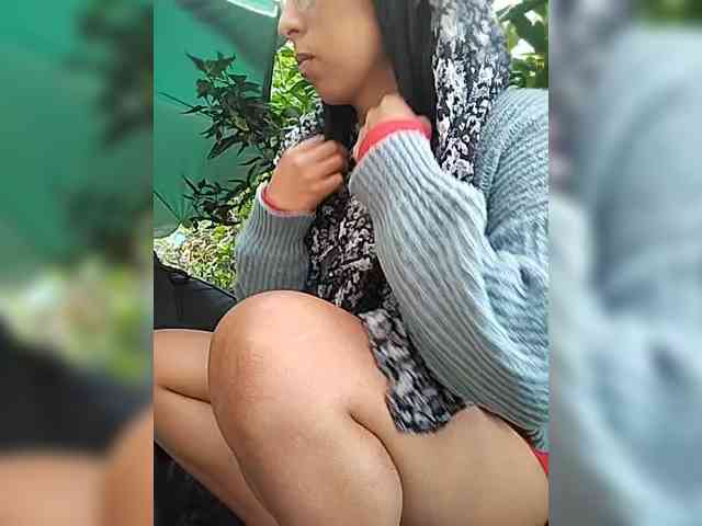 WildAurora webcam