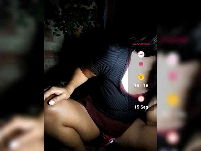WildAurora webcam