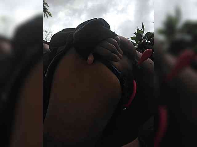 WildAurora webcam