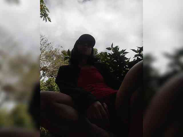 WildAurora webcam