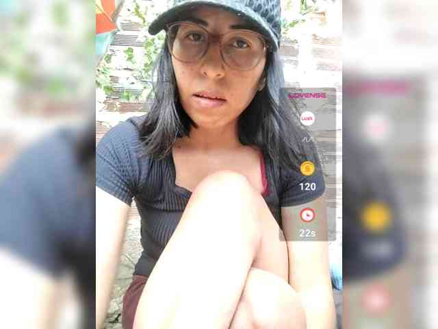 WildAurora webcam