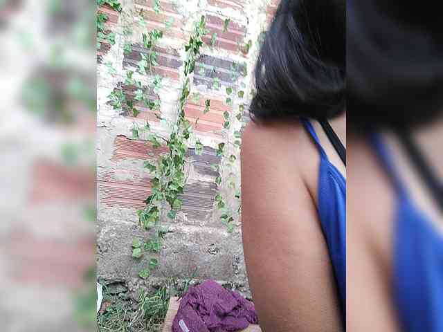 WildAurora webcam