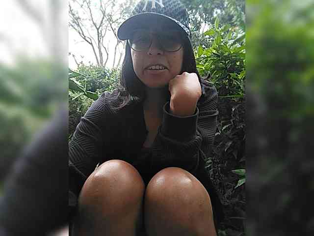 WildAurora webcam