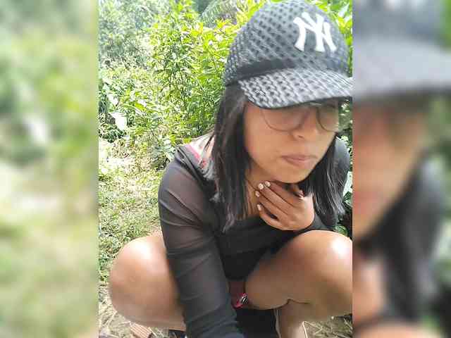 WildAurora webcam