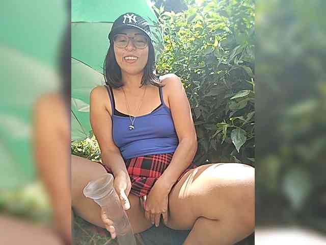 WildAurora webcam