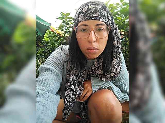 WildAurora webcam