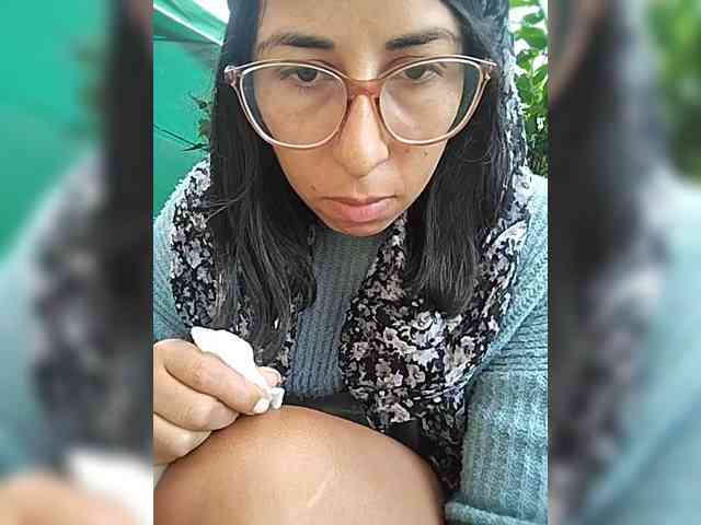 WildAurora
