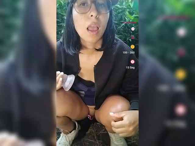 WildAurora webcam
