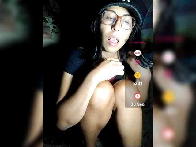 WildAurora webcam